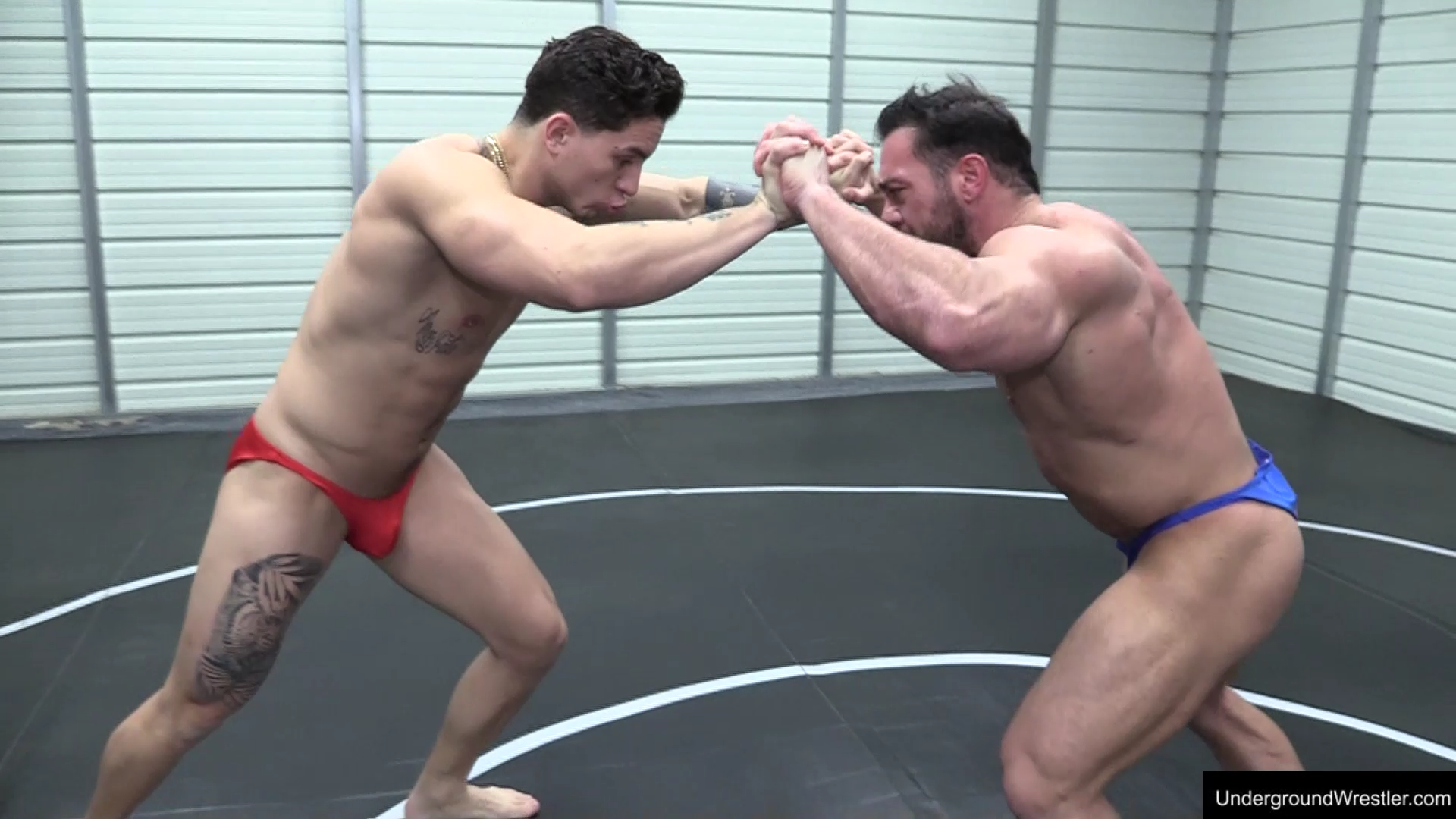 MUSCLE MANIA - AMINO VS MICHAEL POWERHOUSE