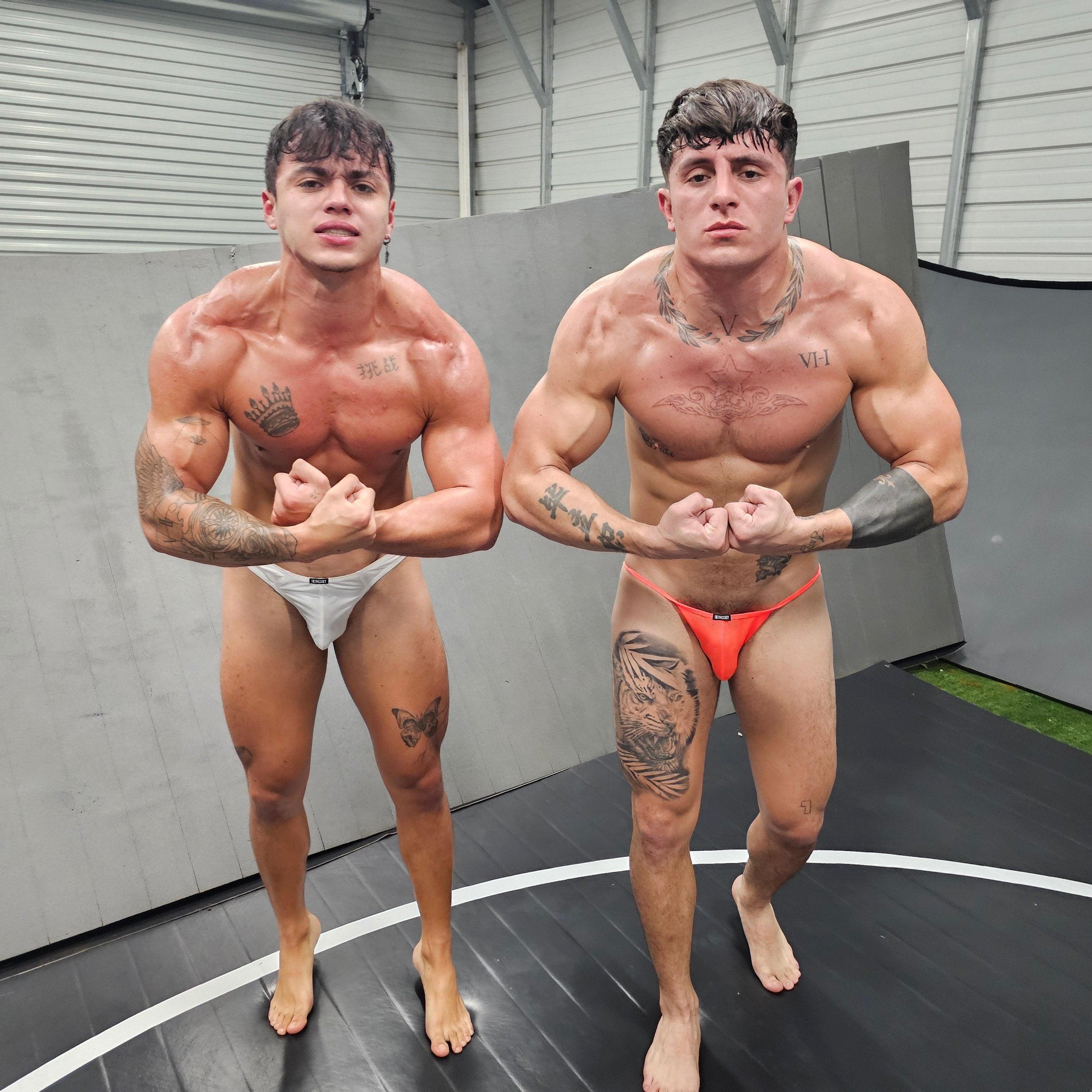 MUSCLE VS MUSCLE - AMINO & TUCO